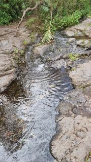 2024-01-GranCan-Barranco_de_los_Cernicalos-063.jpg
